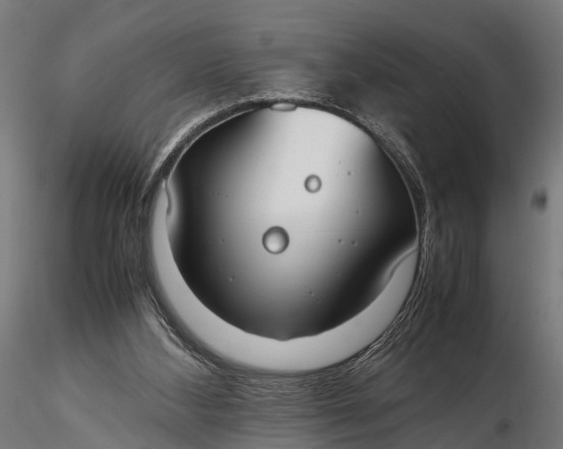 X0000116330108200912151314