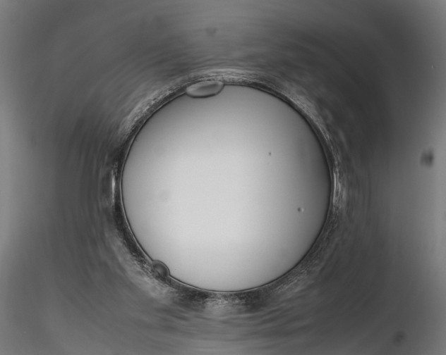 X0000116330109200912151314