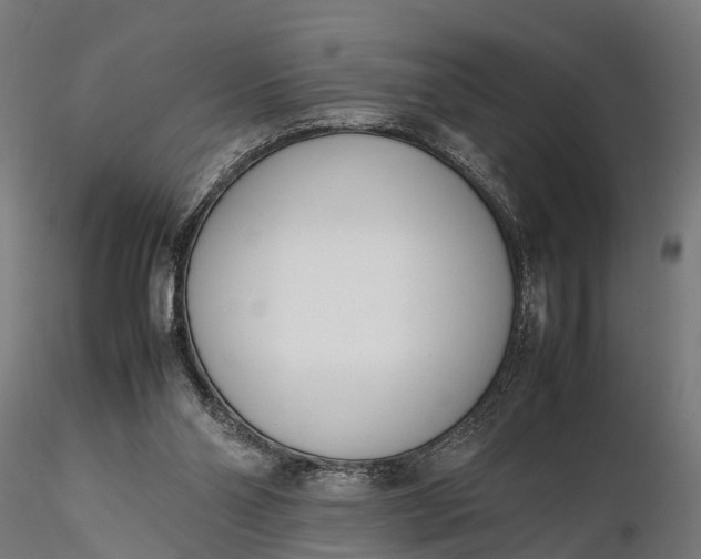 X0000116330110200912151314