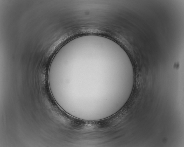 X0000116330111200912151314