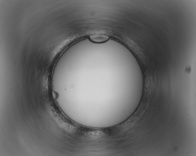 X0000116330112200912151314