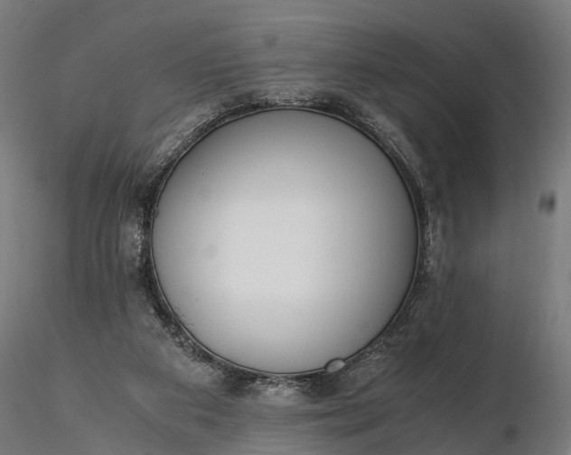 X0000116330113200912151314