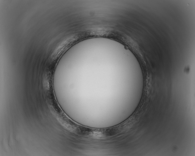 X0000116330114200912151314