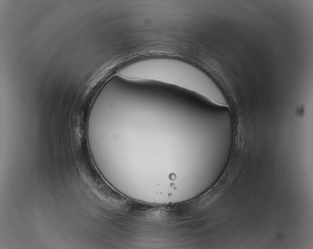 X0000116330116200912151314