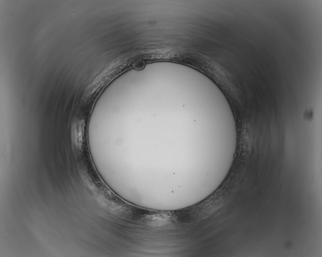 X0000116330118200912151314