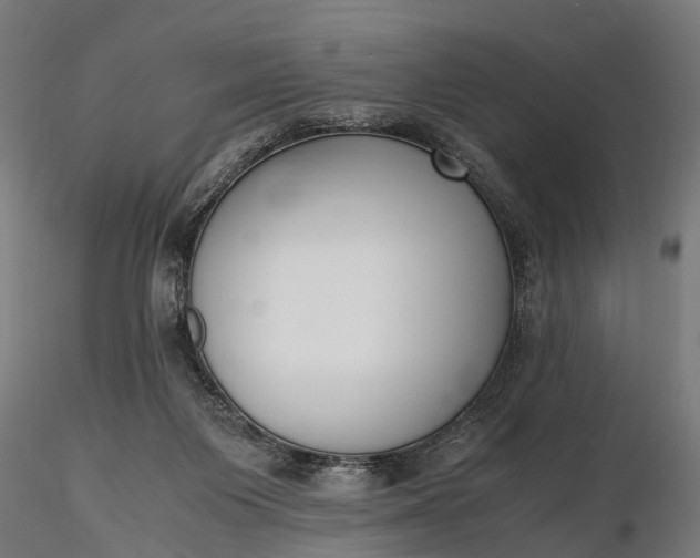 X0000116330119200912151314