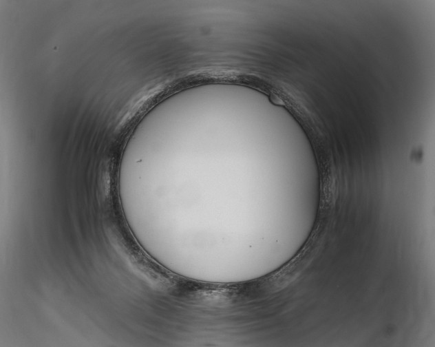 X0000116330120200912151314