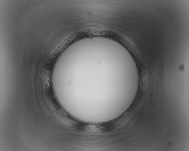 X0000116330121200912151314