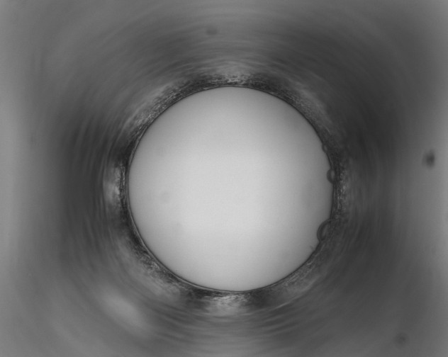 X0000116330122200912151314