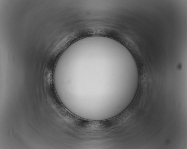 X0000116330123200912151314