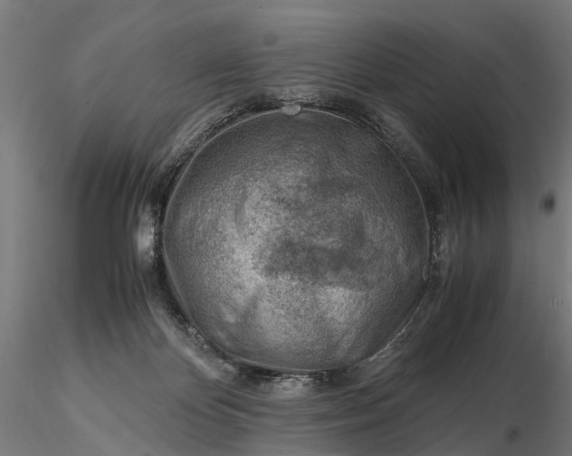 X0000116330124200912151314