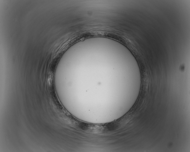 X0000116330125200912151314