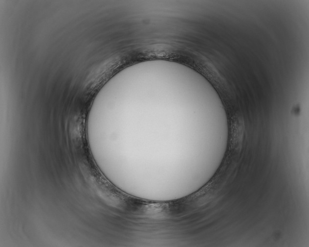 X0000116330126200912151314