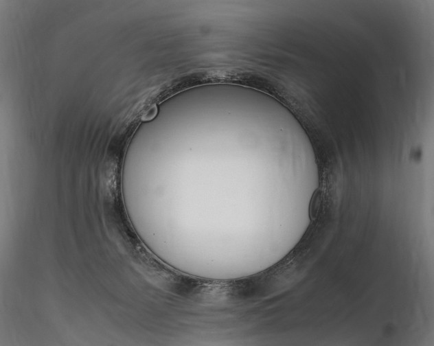 X0000116330127200912151314