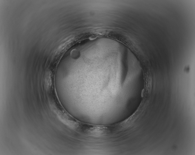 X0000116330128200912151314