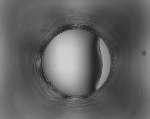 X0000116330129200912151314