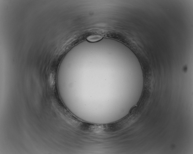 X0000116330131200912151314