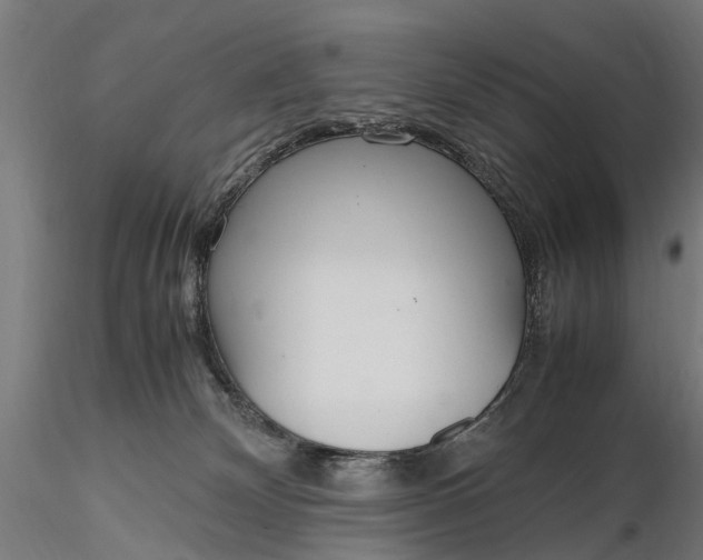 X0000116330132200912151314