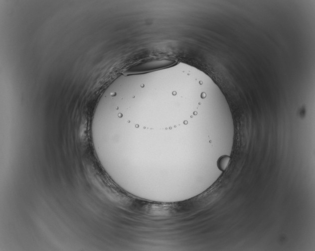 X0000116330134200912151314