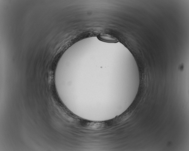 X0000116330135200912151314