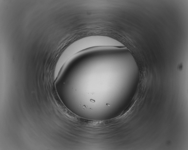 X0000116330136200912151314