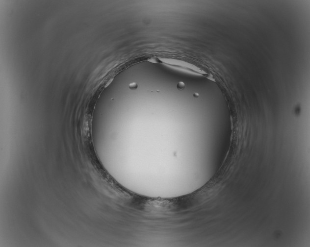 X0000116330137200912151314