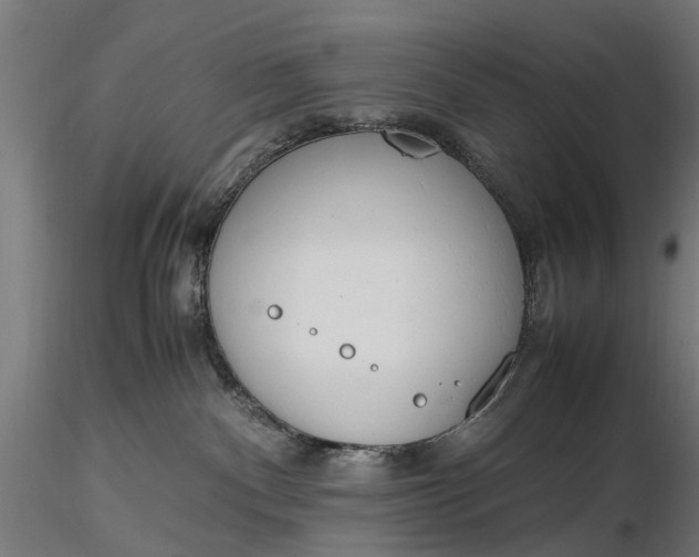 X0000116330140200912151313