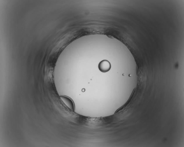 X0000116330141200912151313