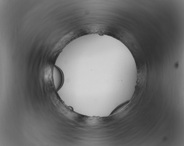 X0000116330142200912151313