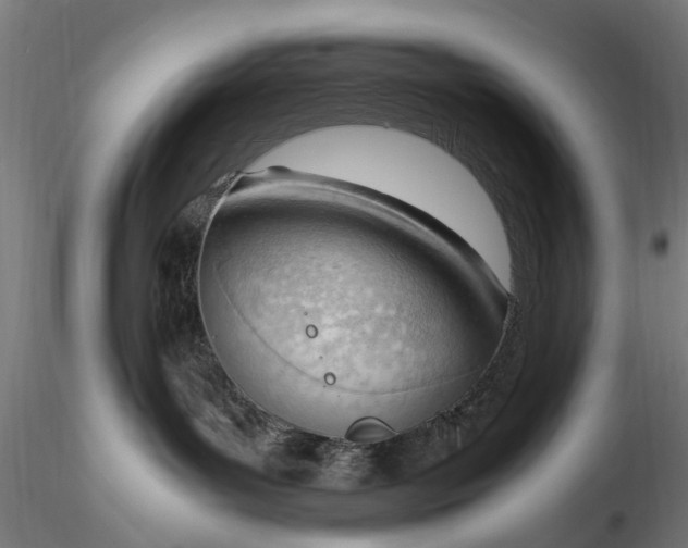 X0000116330143200912151313