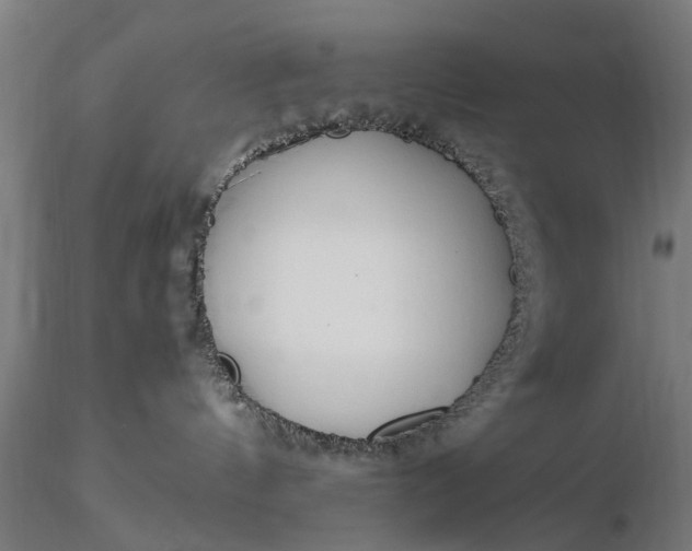 X0000116330144200912151313