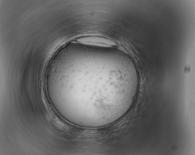 X0000116330145200912151313