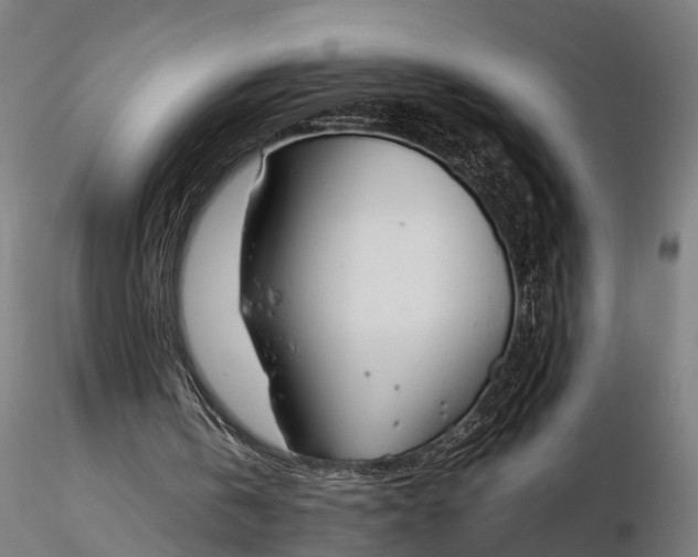 X0000116330146200912151313