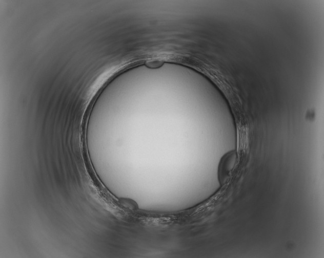 X0000116330147200912151313