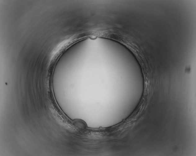 X0000116330149200912151313