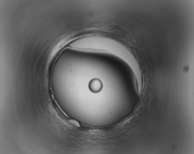 X0000116330150200912151313