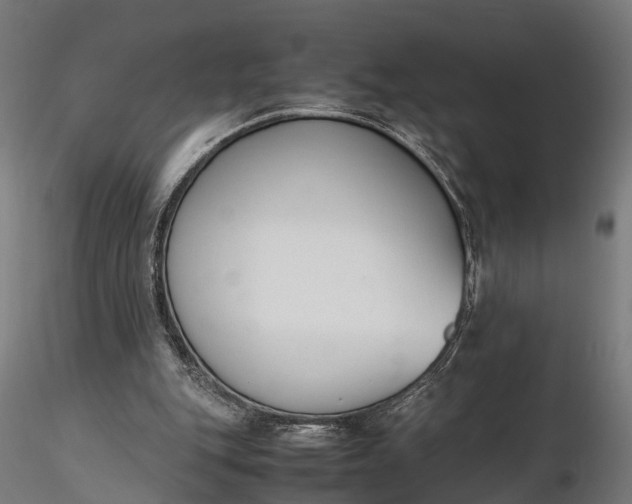 X0000116330151200912151313