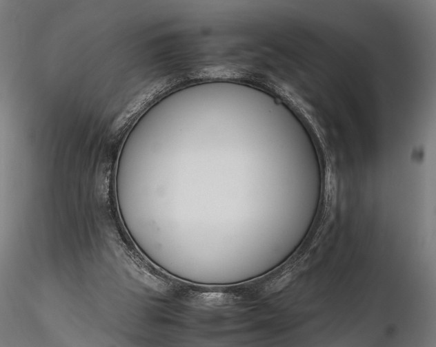 X0000116330153200912151313