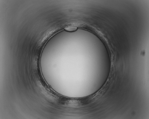 X0000116330154200912151313