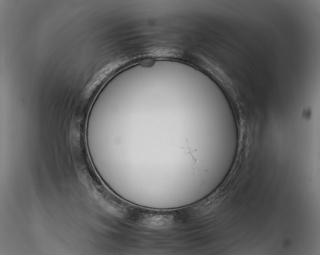 X0000116330155200912151313