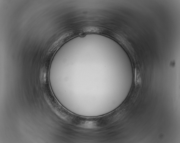 X0000116330157200912151313