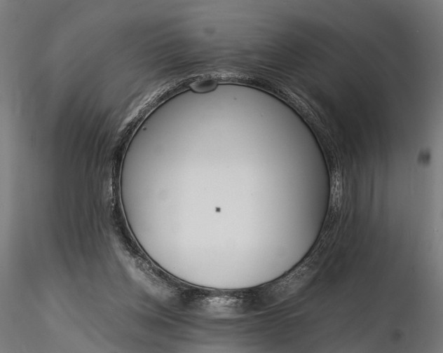 X0000116330158200912151313