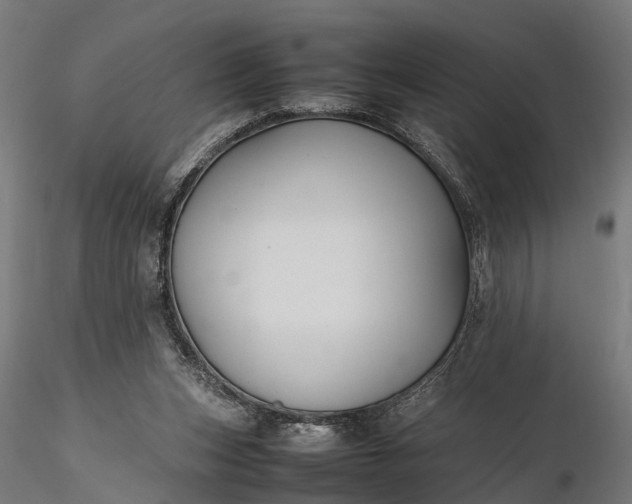 X0000116330159200912151313