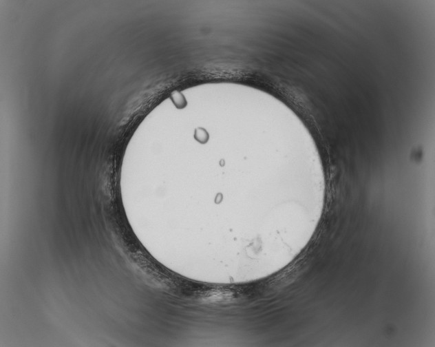 X0000116330162200912151313