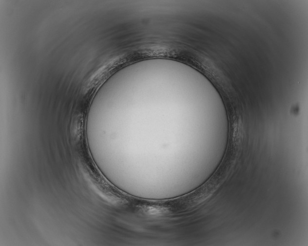 X0000116330165200912151313