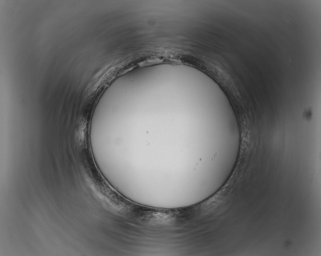 X0000116330166200912151313