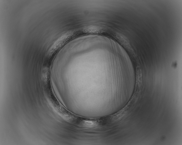 X0000116330167200912151313