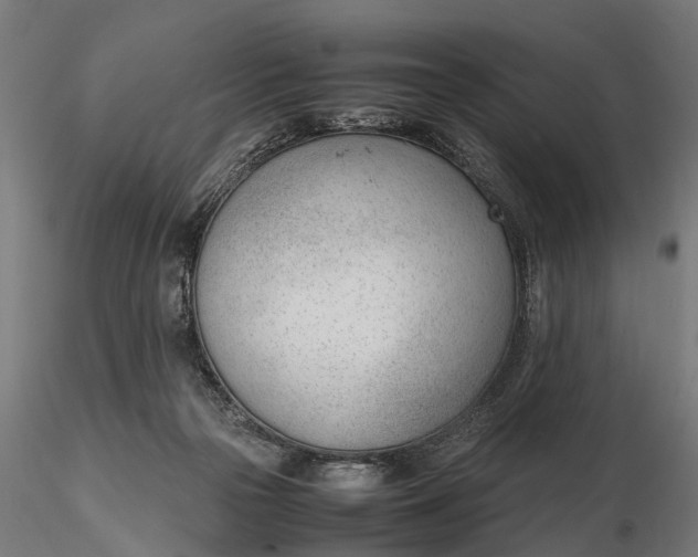 X0000116330169200912151313