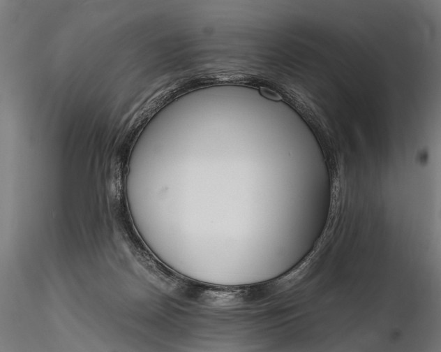 X0000116330170200912151313