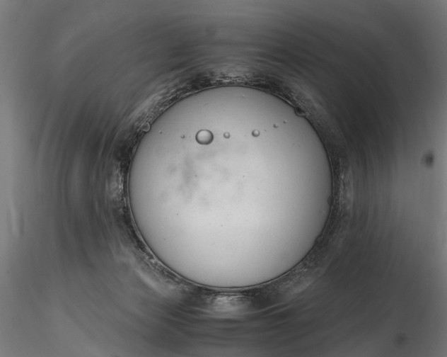 X0000116330173200912151313